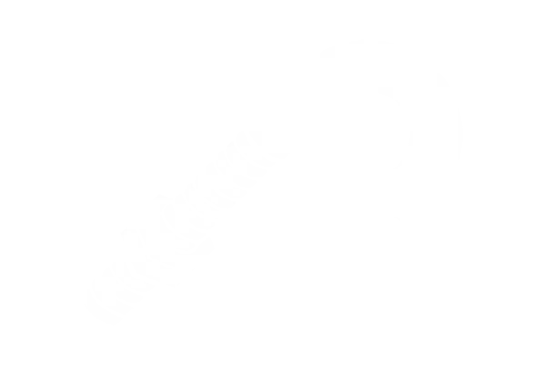 Ankerbolzen